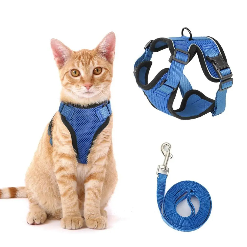 Ensemble harnais et laisse pour chat - Gilet réglable anti-fuite, doux et sécurisé pour la marche, équipement de sécurité pour animaux de compagnie facile à contrôler