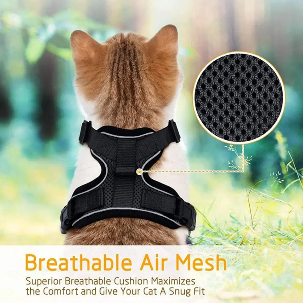 Ensemble harnais et laisse pour chat - Gilet réglable anti-fuite, doux et sécurisé pour la marche, équipement de sécurité pour animaux de compagnie facile à contrôler