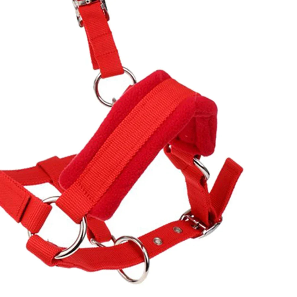 Licol rembourré souple pour poney, bride, têtière, collier de tête, écurie, bride, têtière, accessoires western