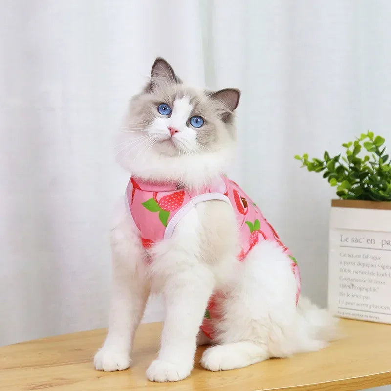 Vêtements de sevrage et de stérilisation pour chats de compagnie, gilet anti-léchage pour petits chiens et chatons, vêtements de récupération après chirurgie féline pour plaies ou maladies cutanées