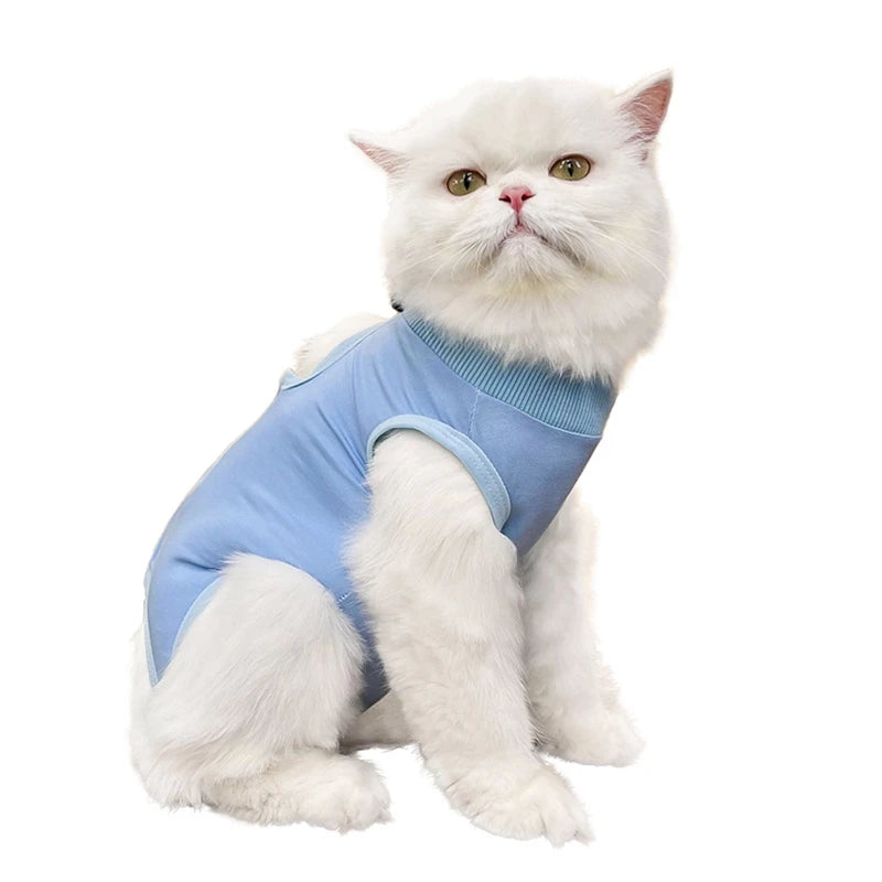 Combinaison de sevrage pour chat, vêtements de récupération anti-léchage après chirurgie, combinaison douce pour chiot et chaton, combinaison de soins pour chat, gilet pour animaux de compagnie