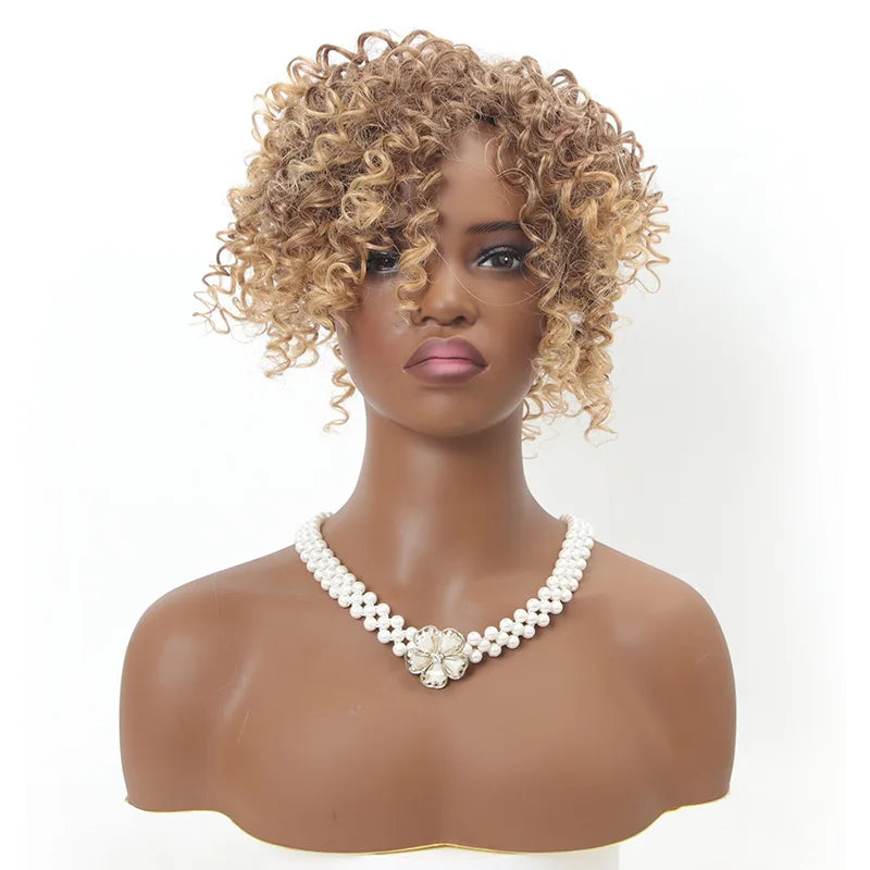 SQRDGQ Synthetic Hair Topper Kinky Curly Hairpiece False Bang Clip-In Bangs Natural Clourse Hairpiece for Women