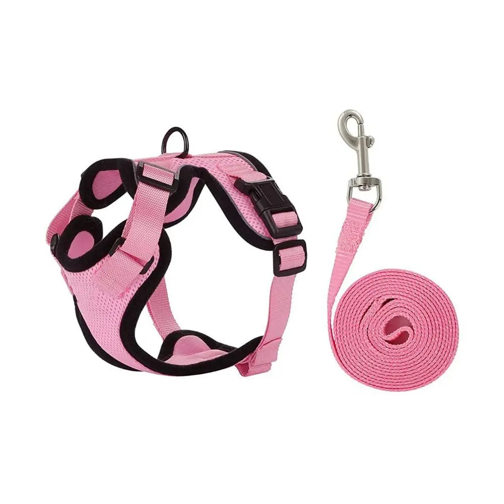 Ensemble harnais et laisse pour chat - Gilet réglable anti-fuite, doux et sécurisé pour la marche, équipement de sécurité pour animaux de compagnie facile à contrôler