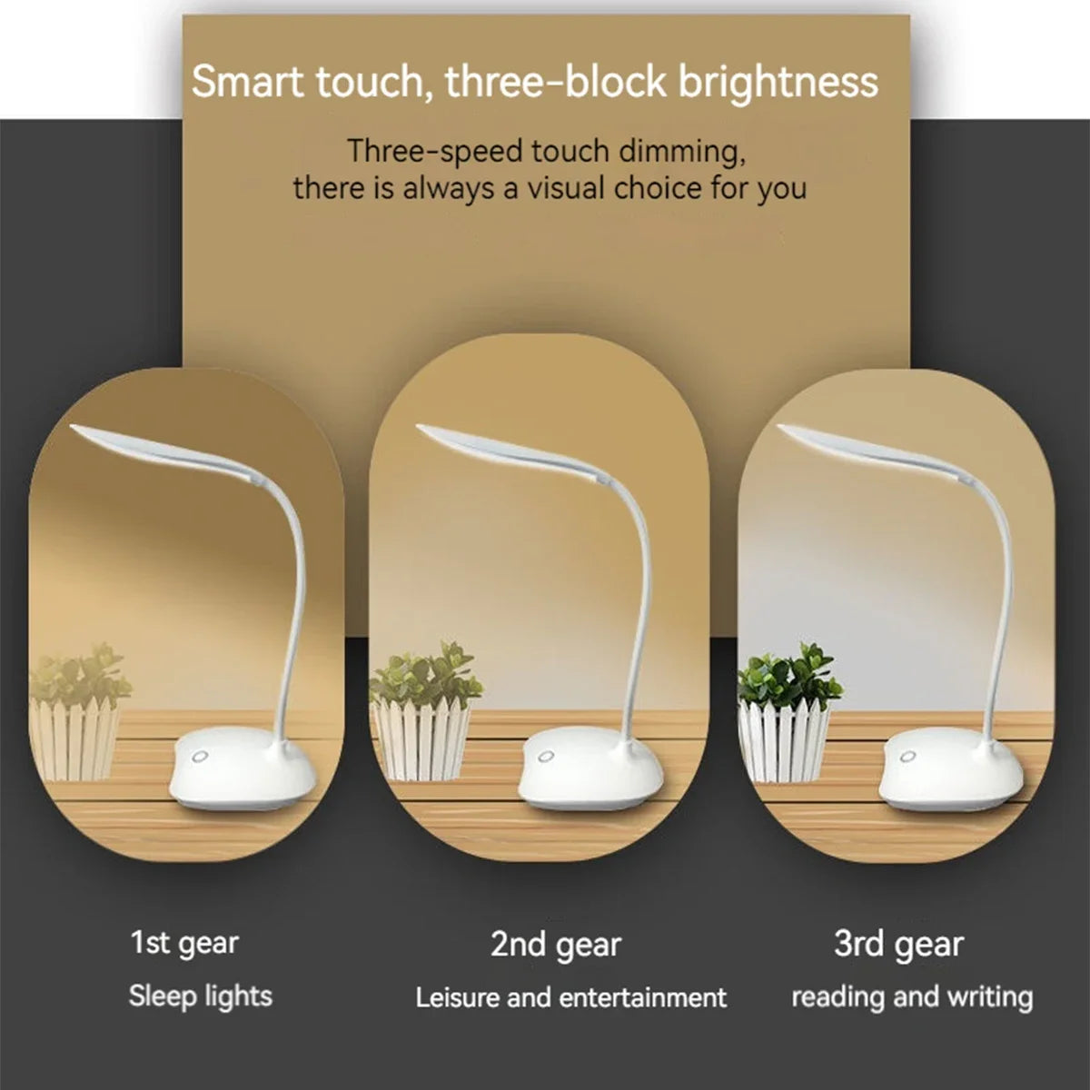 Lámpara de Escritorio LED de Lectura, Lámpara de Escritorio Portátil, Luz de Mesa con Carga USB, Atenuación Táctil, Protección Ocular para Estudiar, Iluminación para Habitación u Oficina