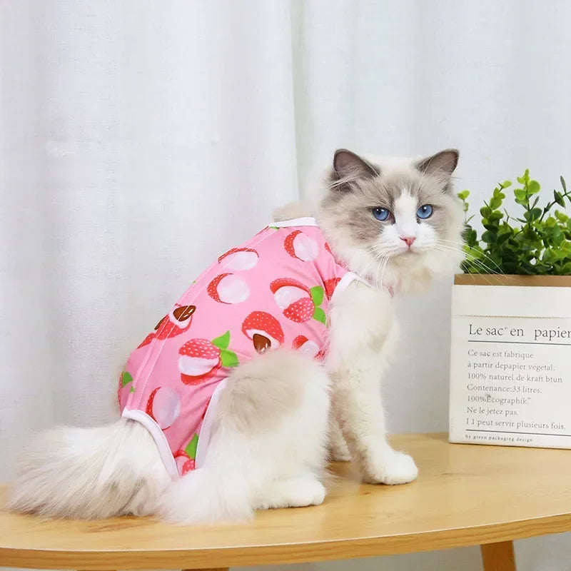 Vêtements de sevrage et de stérilisation pour chats de compagnie, gilet anti-léchage pour petits chiens et chatons, vêtements de récupération après chirurgie féline pour plaies ou maladies cutanées