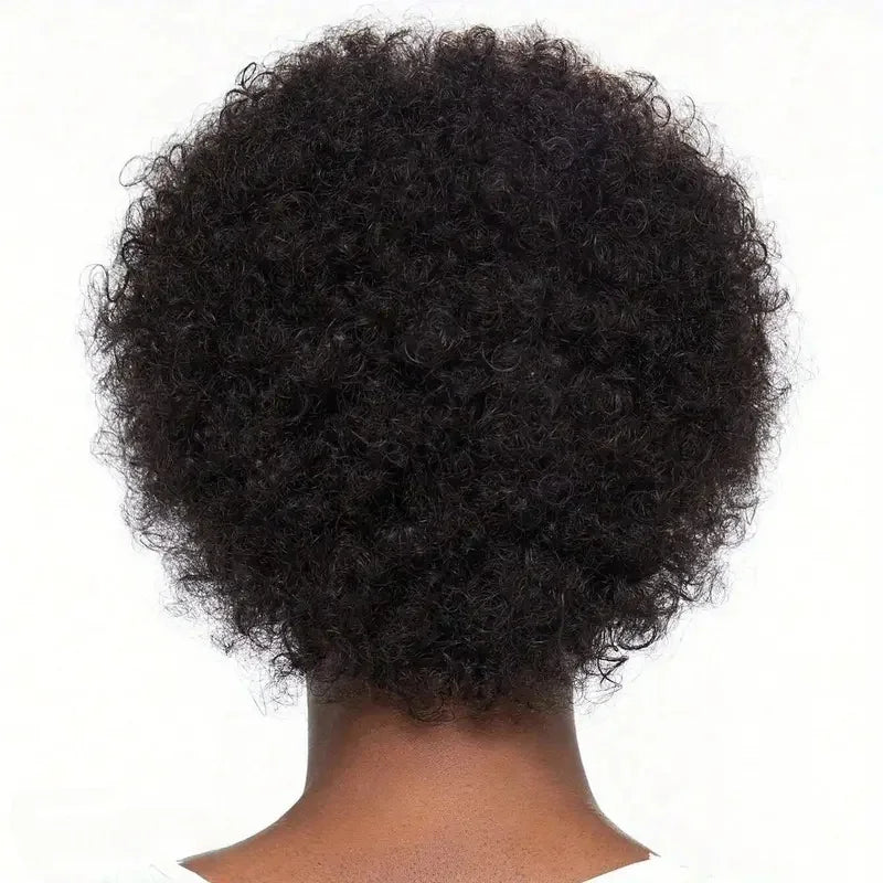 Afro Kinky Curly Wig