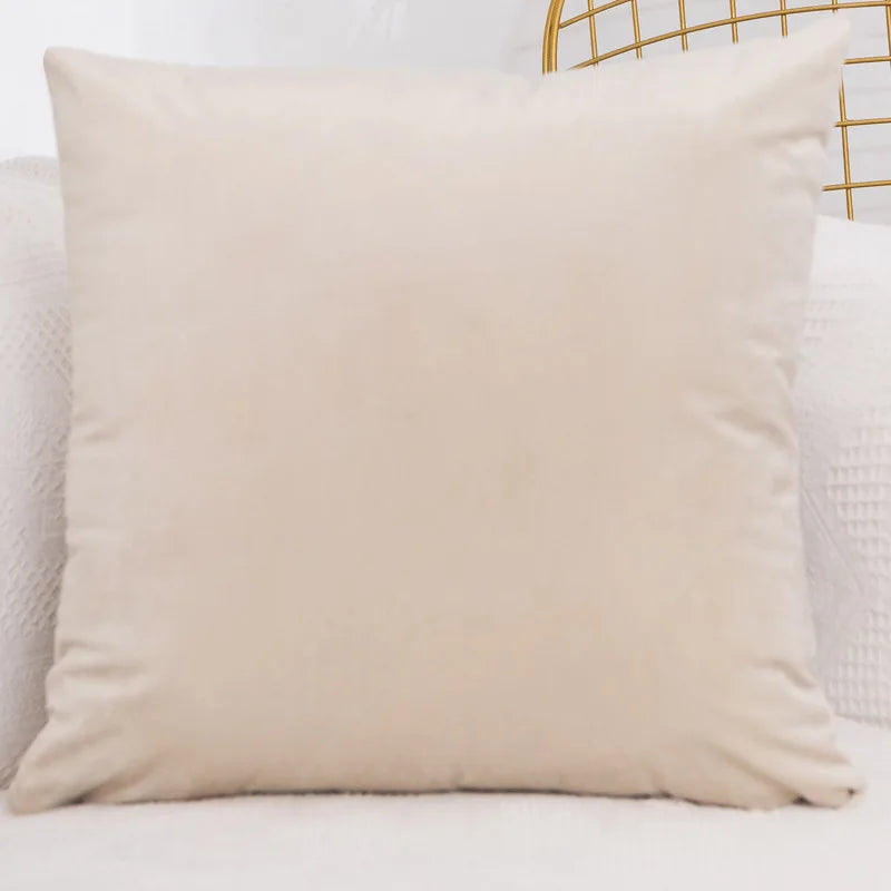 Funda de Almohada Decorativa de Terciopelo para Sofá, Dormitorio, 40x40/45x45/50x50/30x50/55x55/60x60cm, Funda de Cojín Cuadrada