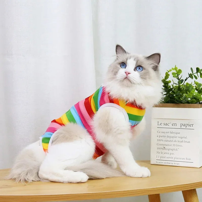 Vêtements de sevrage et de stérilisation pour chats de compagnie, gilet anti-léchage pour petits chiens et chatons, vêtements de récupération après chirurgie féline pour plaies ou maladies cutanées