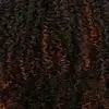 Drawstring Half Wig IWD 23