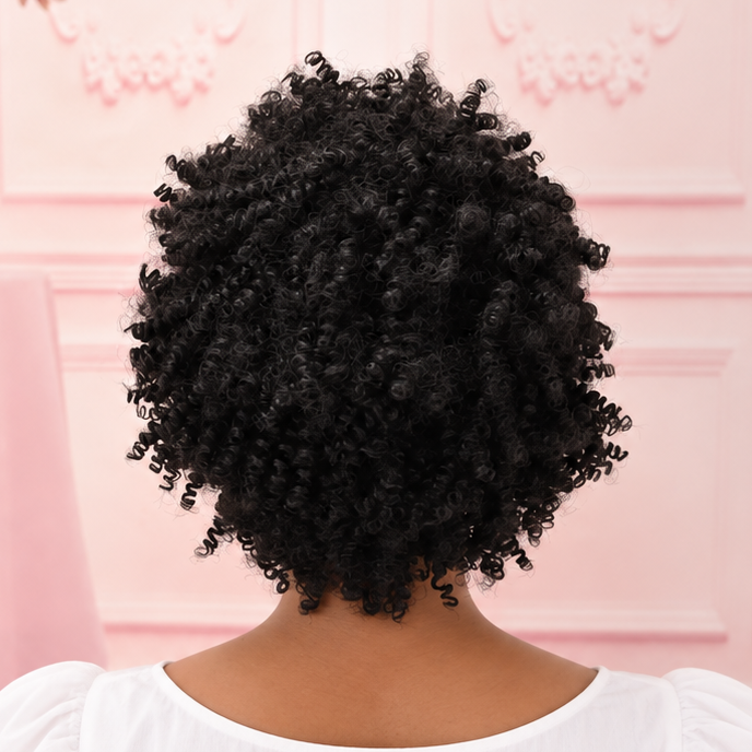 Black Afro Curly Wig
