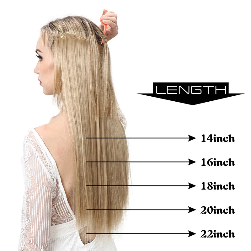 Extensión de Pelo Liso Ombre SARLA
