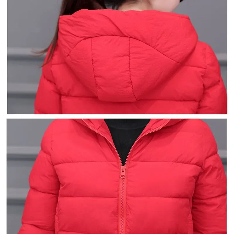 Vinter Nye Dame Lett Dunjakke i Bomull med Hette Varm Løs Kort Yttertøy Uformelt Dameklær Bomull Grunnleggende Kåper