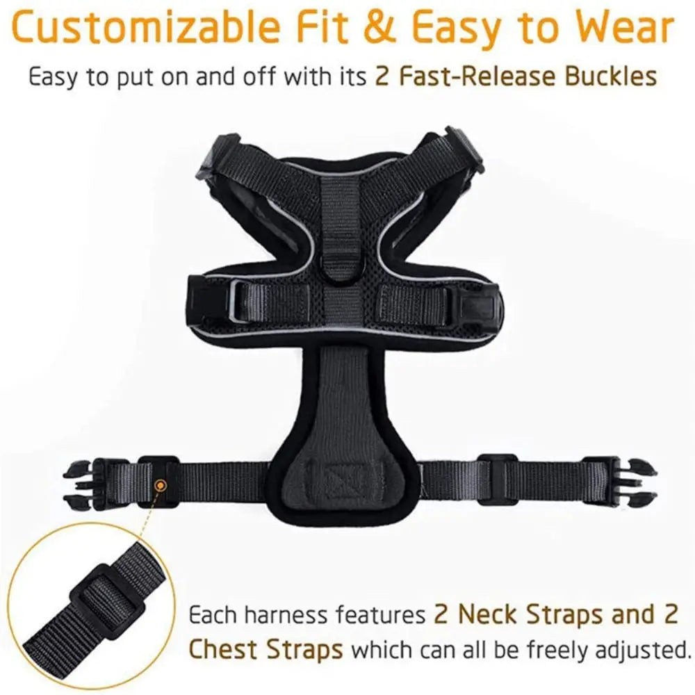 Cat Harness Leash Set - Escape Proof Adjustable Vest, Soft & Secure for Walking, Easy Control Pet Safety Gear