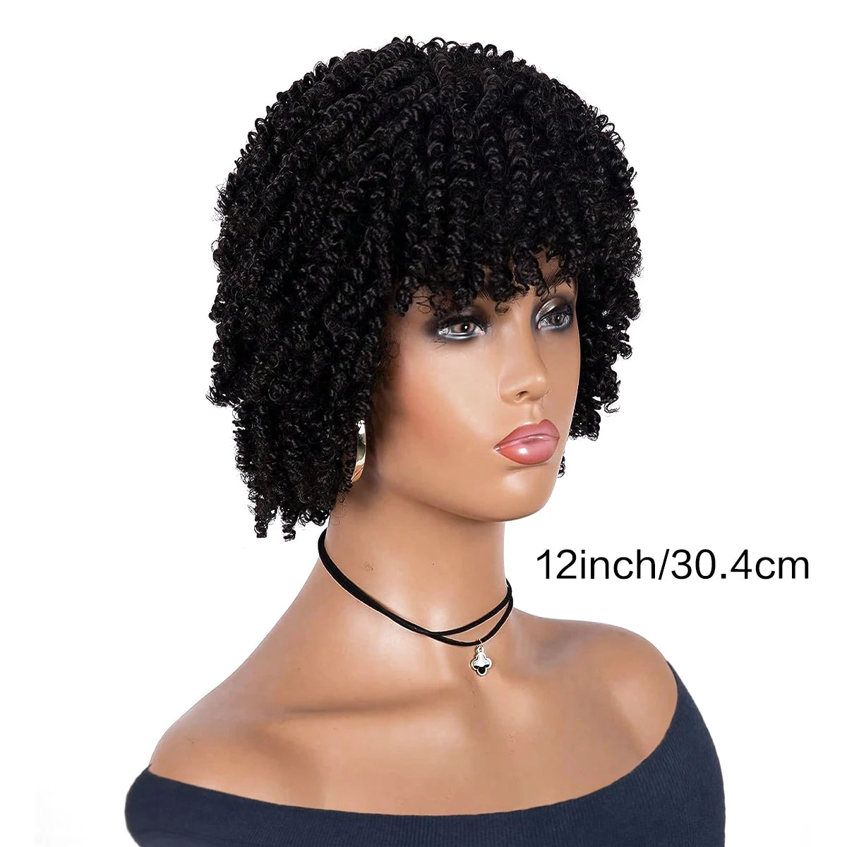 Kinky Curly Afro Wig
