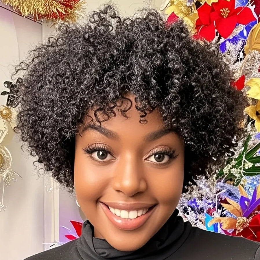 Afro Curly Human Hair Wig