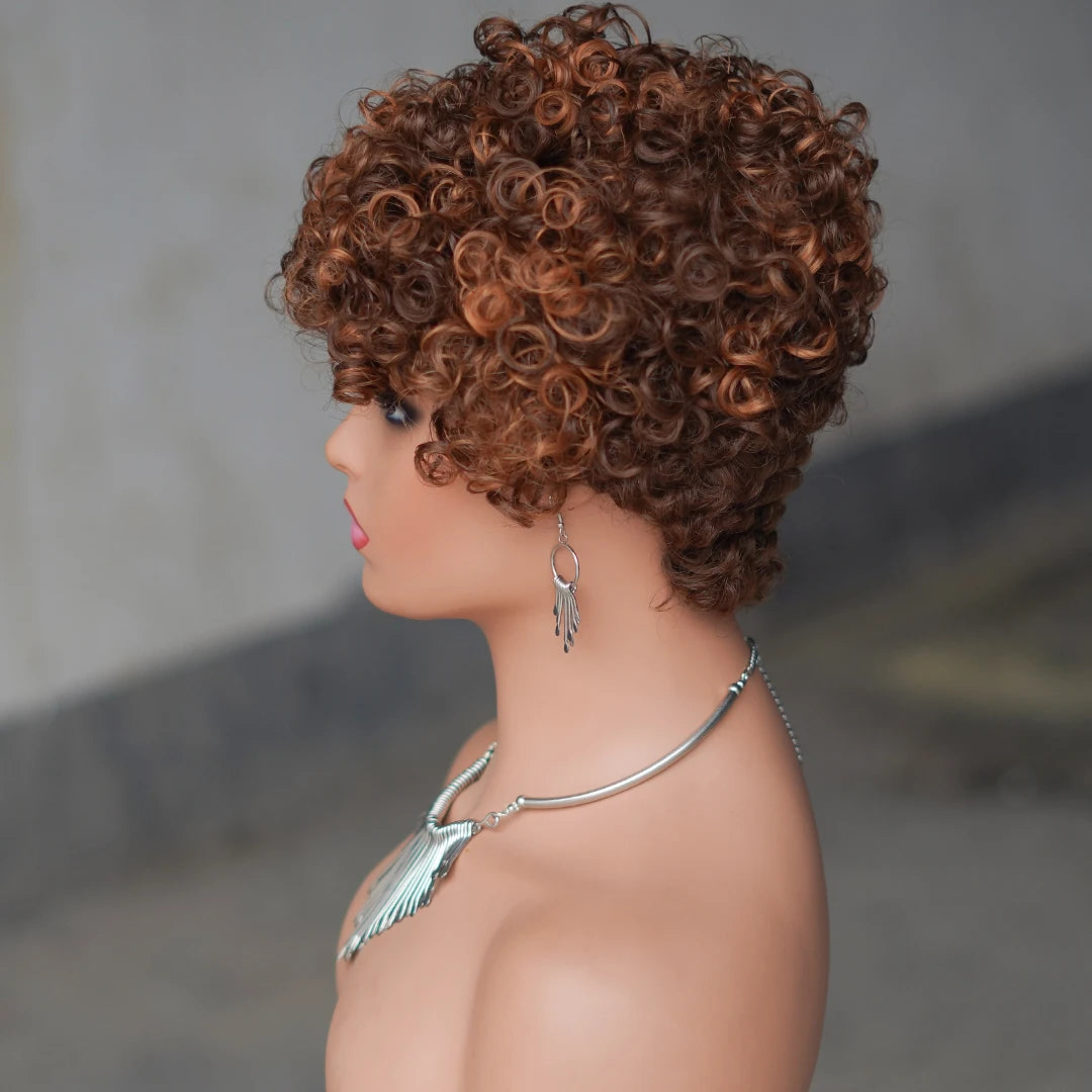 Short Curly Human Hair Wig
