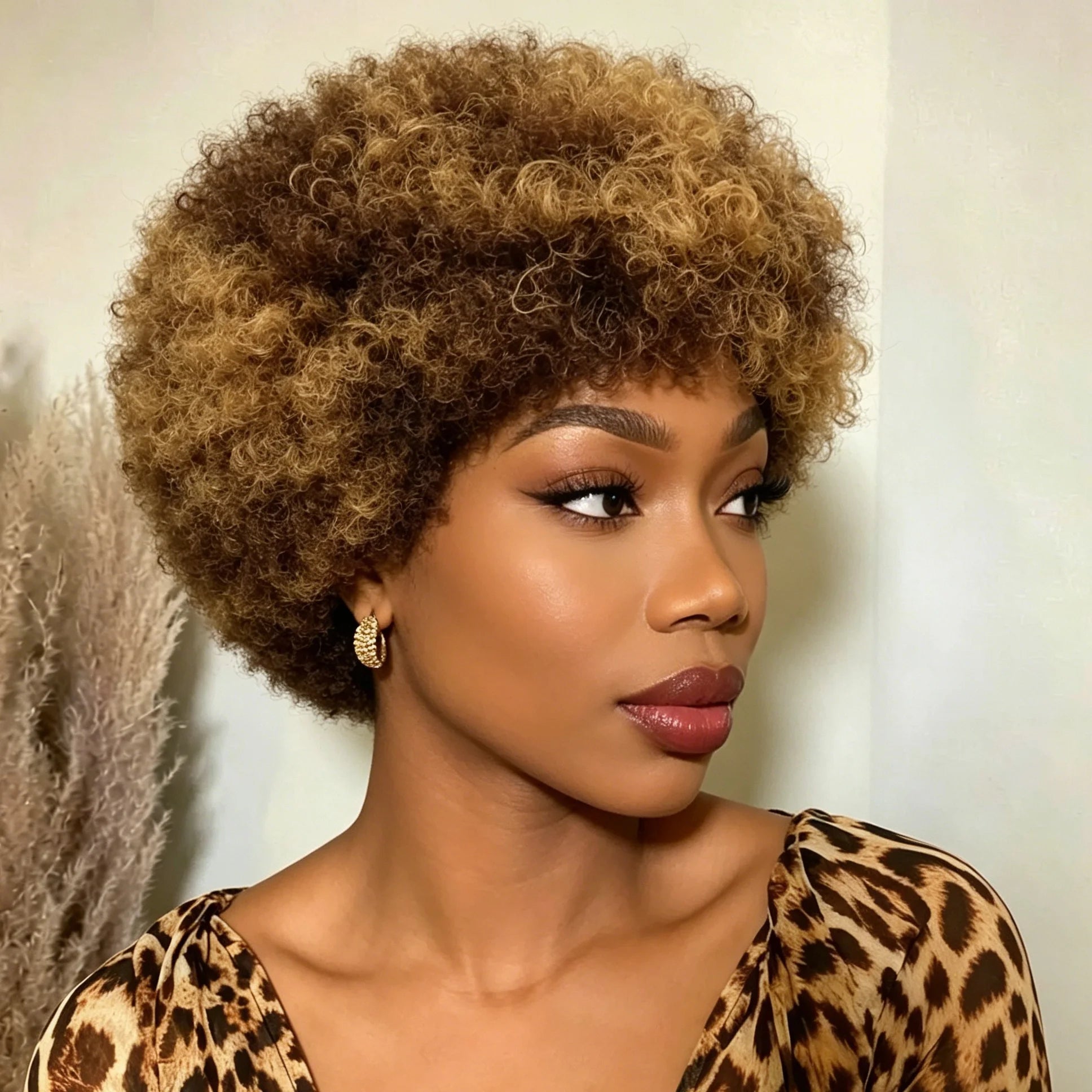 Afro Curly Human Hair Wig