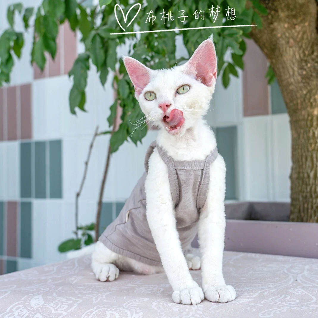 Vêtements pour chat, gilet pour chat, bretelles en coton multicolores, vêtements pour chat sans poils, gilet de protection du ventre avec climatisation Devon