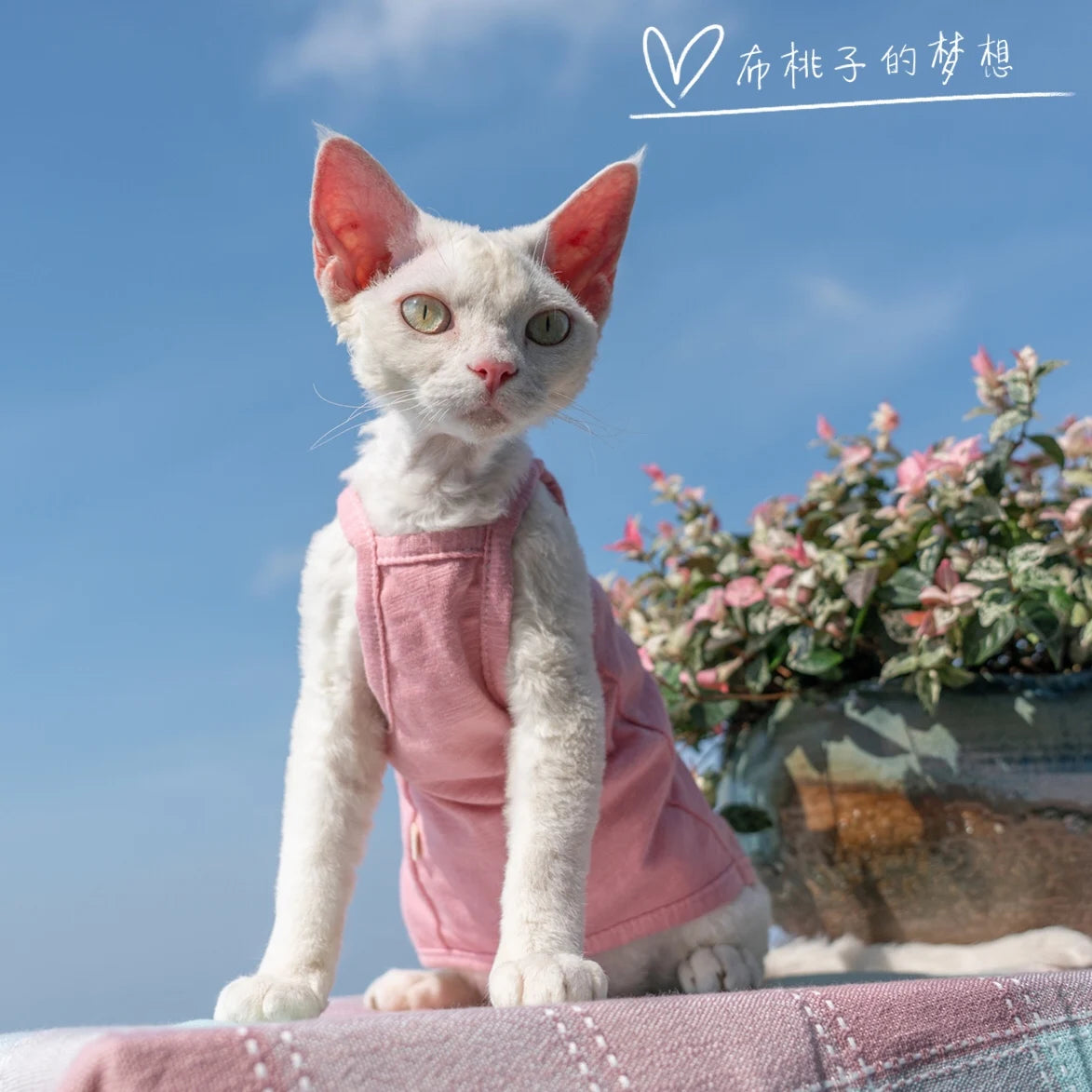 Vêtements pour chat, gilet pour chat, bretelles en coton multicolores, vêtements pour chat sans poils, gilet de protection du ventre avec climatisation Devon