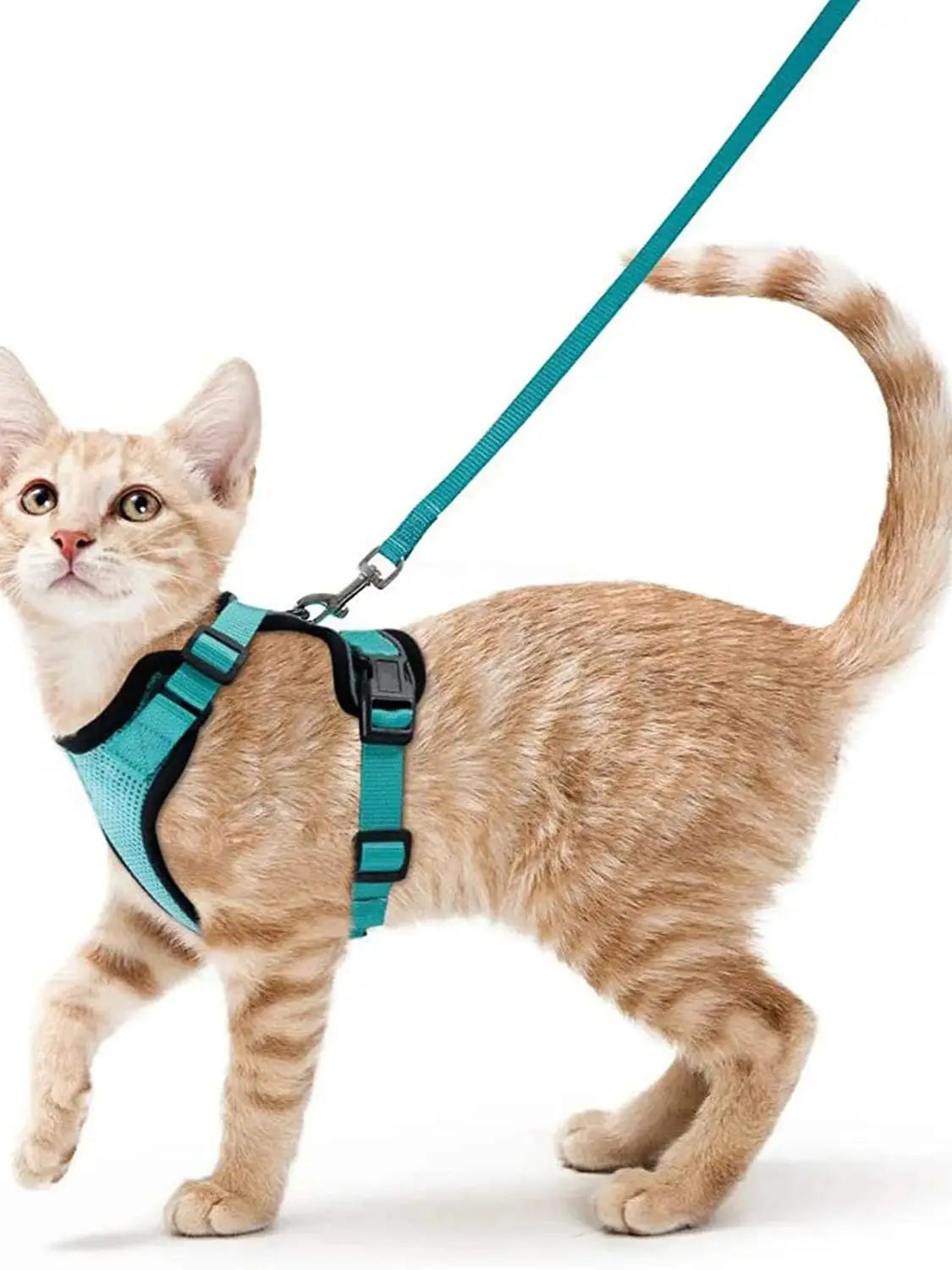 Harnais et laisse pour chat pour la promenade, harnais gilet souple et réglable anti-fuite pour chats, EasyControl