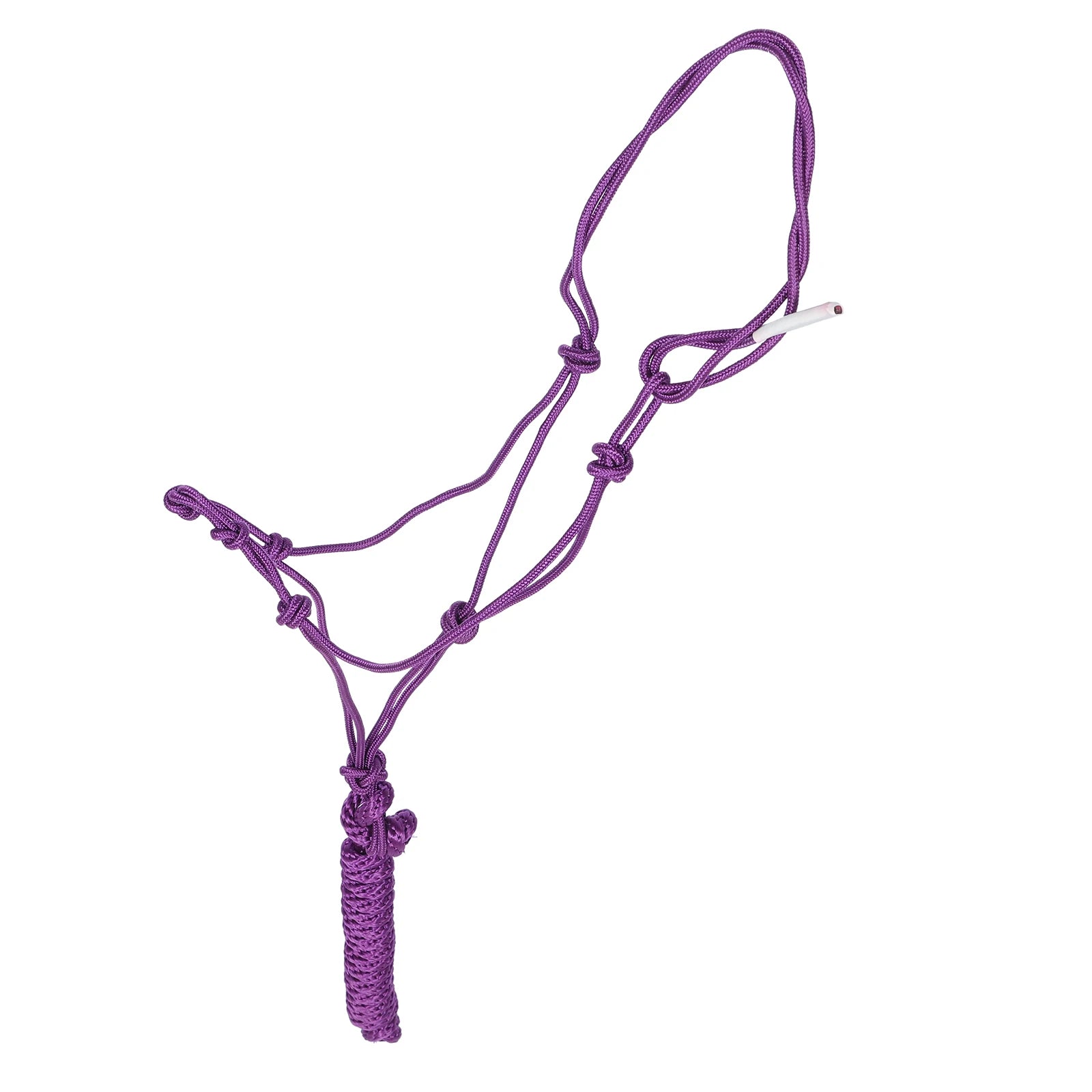 Licol à bride pour cheval, équipement équestre, tissu détachable