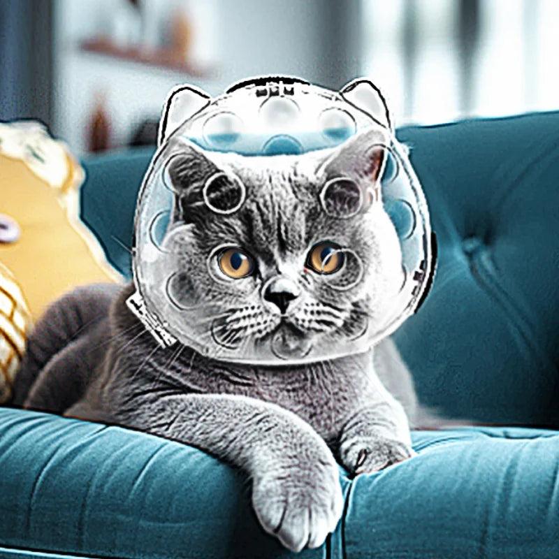 Cat Head Cover Portable Transparent Prevent Biting and Scratching Breathable Safety Travel Cat Carrier Bag Cats Pet Products