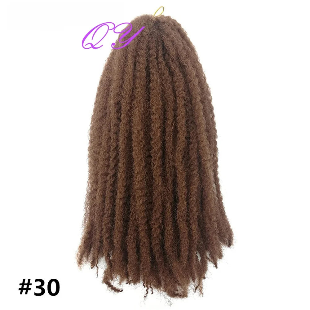 2 pcs Marley Twists Hair Braiding hair synthetic afro kinky Crochet  Braiding Hair Extensions for women