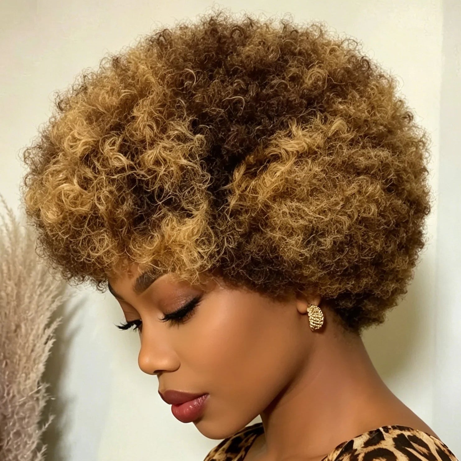 Afro Curly Human Hair Wig