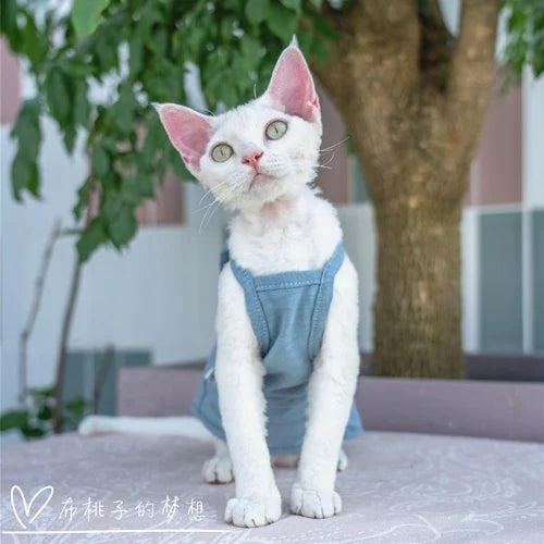 Vêtements pour chat, gilet pour chat, bretelles en coton multicolores, vêtements pour chat sans poils, gilet de protection du ventre avec climatisation Devon