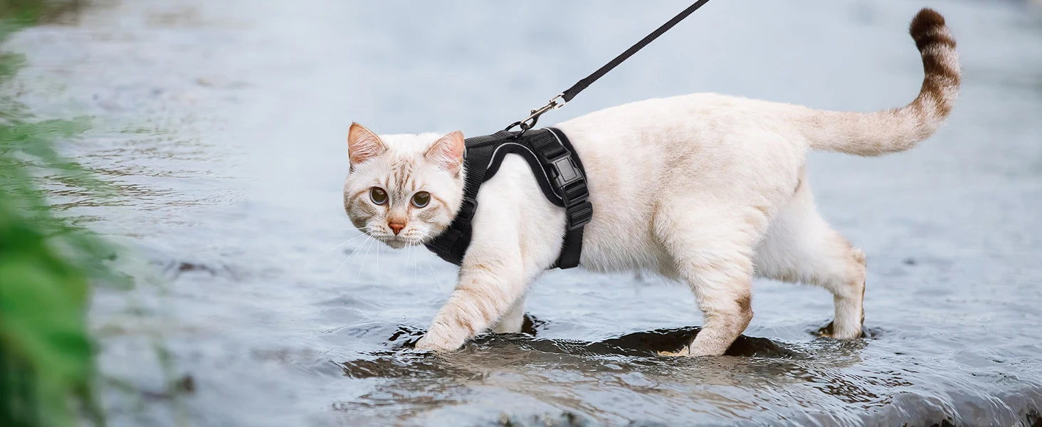 Harnais et laisse pour chat pour la promenade, harnais gilet souple et réglable anti-fuite pour chats, EasyControl