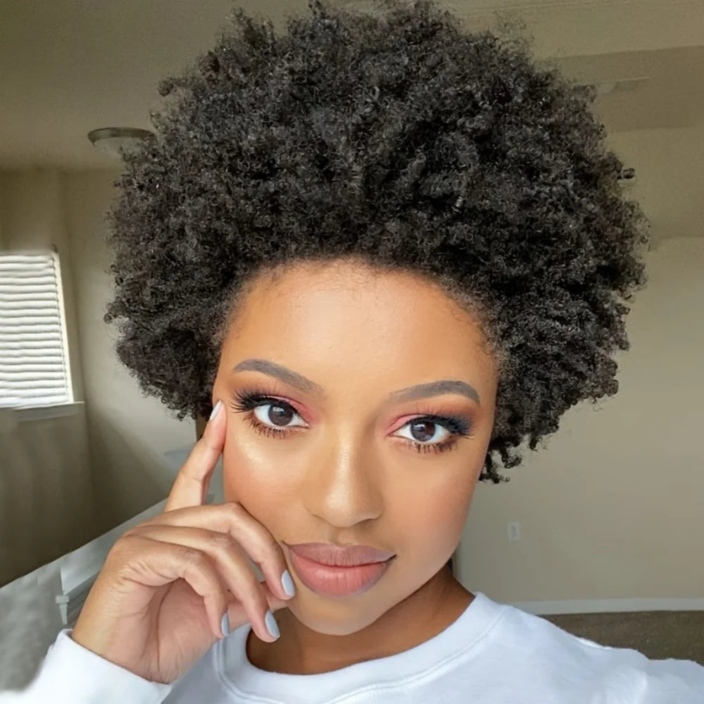 Kinky Curly Afro Wig