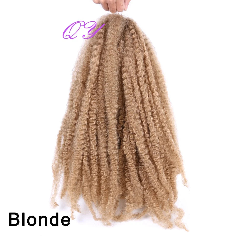 2 pcs Marley Twists Hair Braiding hair synthetic afro kinky Crochet  Braiding Hair Extensions for women