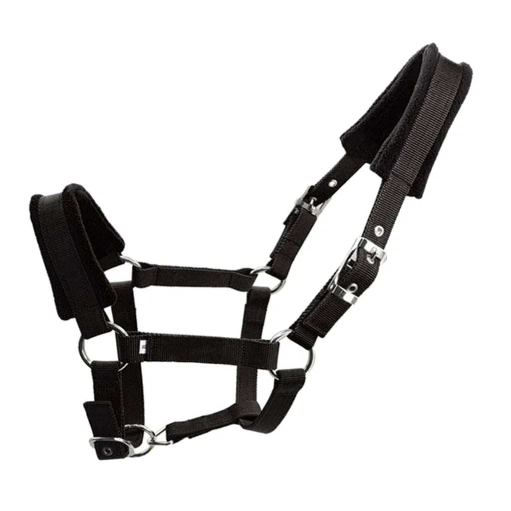 Licol rembourré souple pour poney, bride, têtière, collier de tête, écurie, bride, têtière, accessoires western