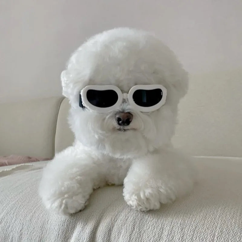 LETVIA Pet Supplies Fashionable Cats Dogs Sunglasses Windproof Dustproof Pet Goggles Outdoor Travel Uv-protective Glasses Summer