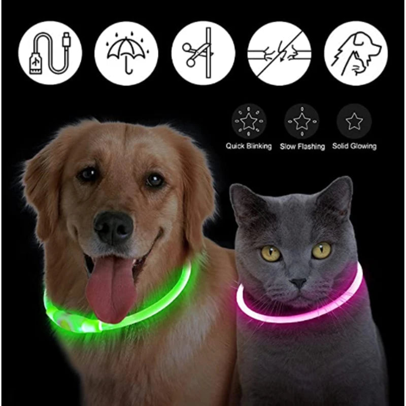 Collier lumineux LED pour animaux de compagnie