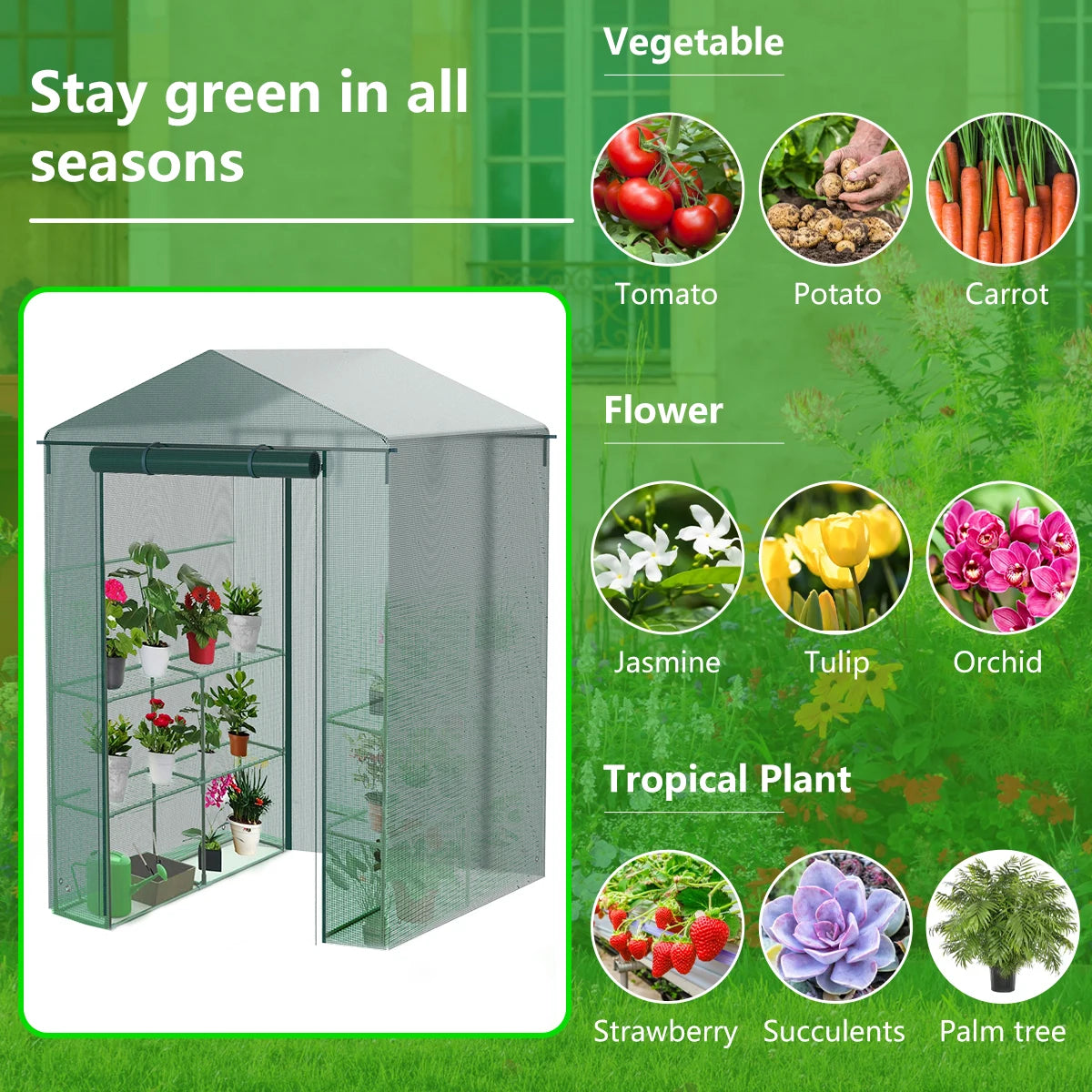 Invernadero para plantas Invernadero tipo túnel Invernadero a prueba de heladas, viento y lluvia Cubierta de invernadero para jardinería de plantas al aire libre