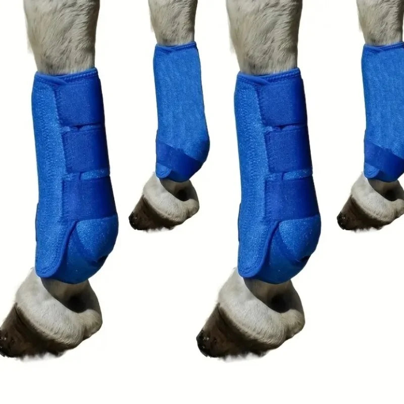Protection des jambes du cheval contre les chocs et les rayures, matériau de plongée, guêtres pour chevaux, équipement de course professionnel, équipement de protection pour chevaux