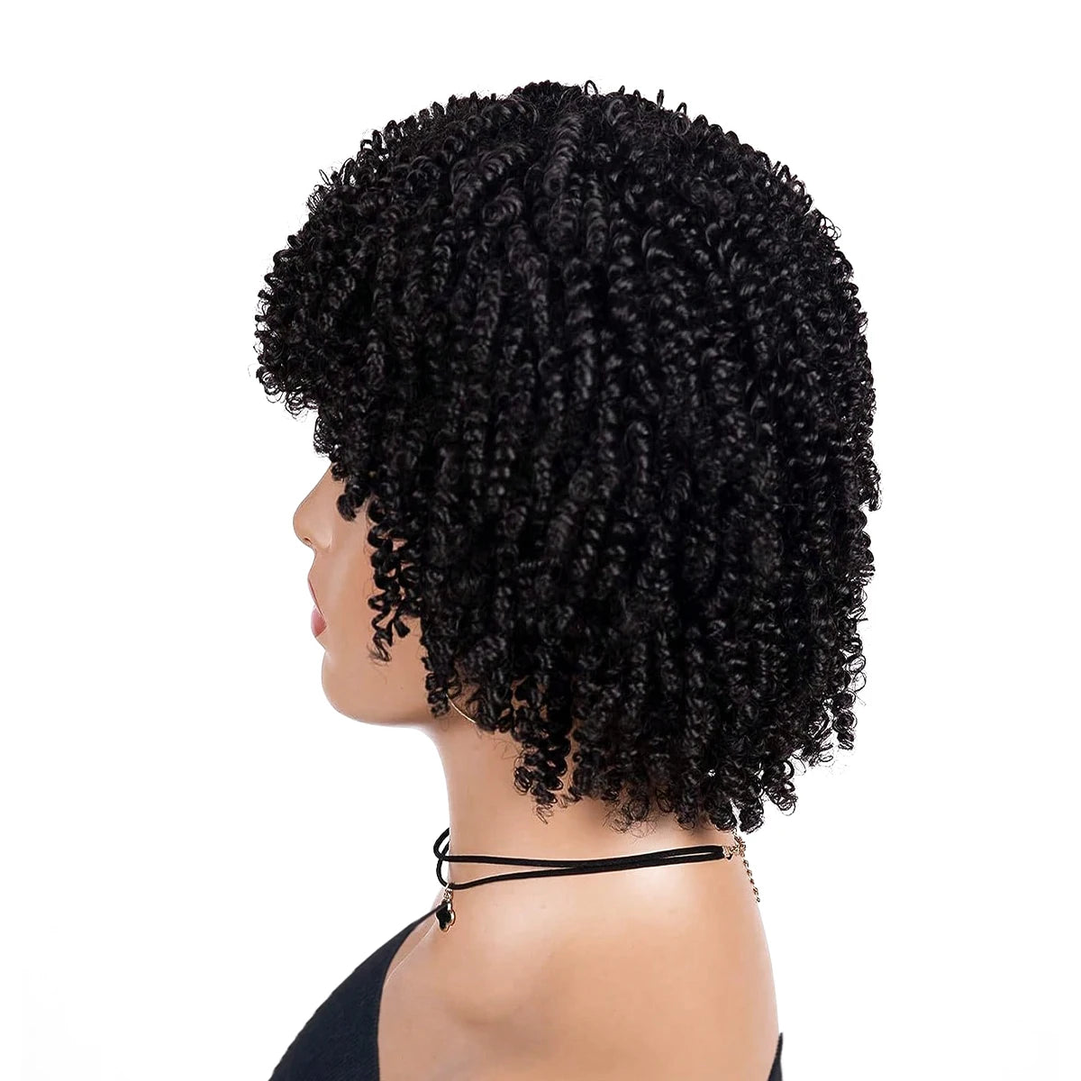 Kinky Curly Afro Wig