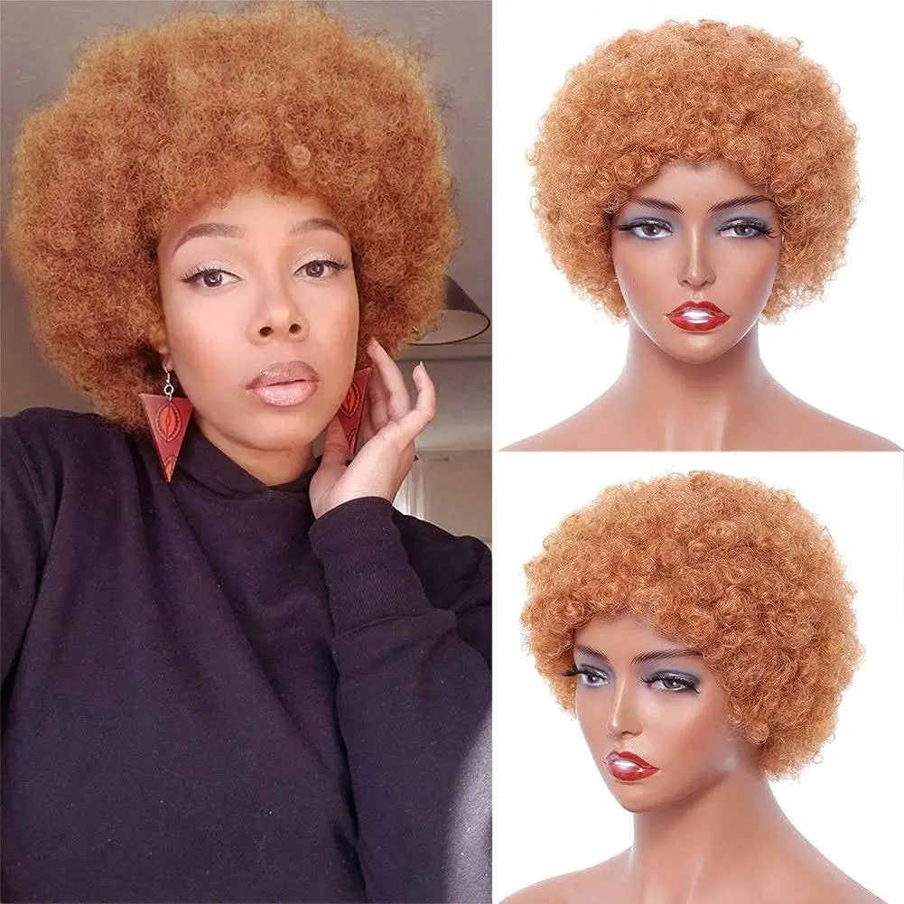 Medium Brown Afro Kinky Curly Wigs for Black Women 30# Kinky Curly Human Hair Afro Wigs African American Machine Made Pixie Wig