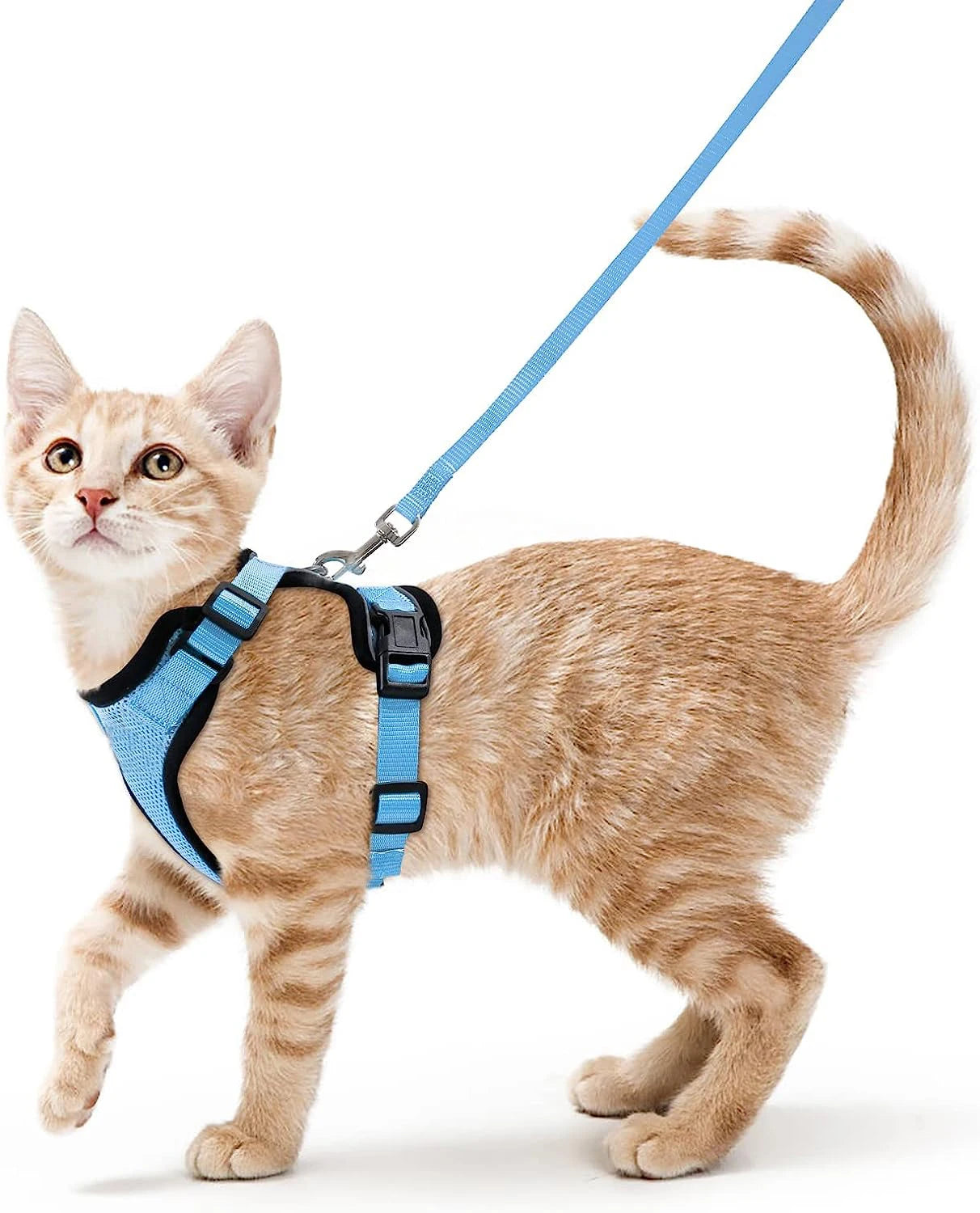 Harnais et laisse pour chat pour la promenade, harnais gilet souple et réglable anti-fuite pour chats, EasyControl