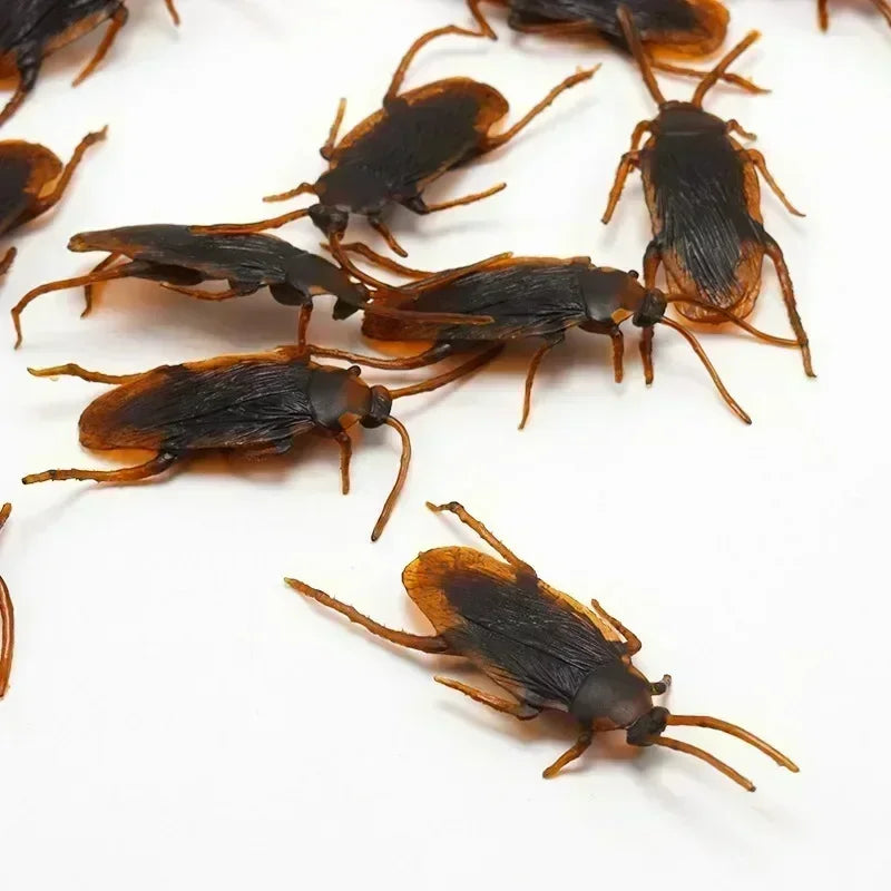 Lot de 10 faux cafards amusants pour décoration de fête d'Halloween