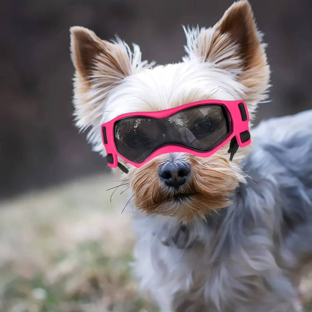 Pet Helmet And Set For Small Dogs Windproof Safety Gear For Outdoor Sports And Protection