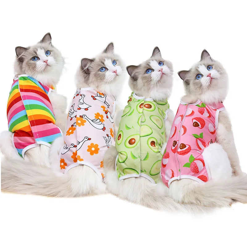 Vêtements de rééducation chirurgicale en coton pour animaux de compagnie, vêtements postopératoires pour chats, combinaison de protection pour la récupération des chats, gilet pour chaton, accessoires pour chats