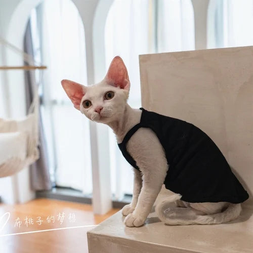 Vêtements pour chat, gilet pour chat, bretelles en coton multicolores, vêtements pour chat sans poils, gilet de protection du ventre avec climatisation Devon