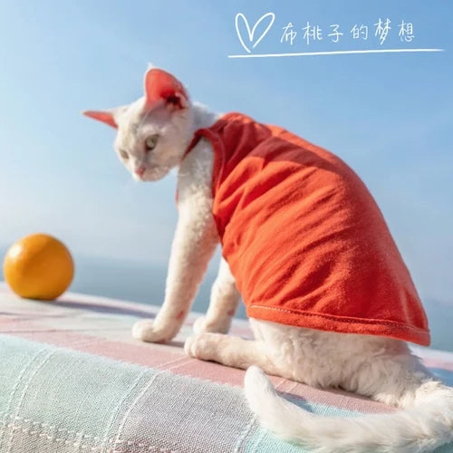 Vêtements pour chat, gilet pour chat, bretelles en coton multicolores, vêtements pour chat sans poils, gilet de protection du ventre avec climatisation Devon