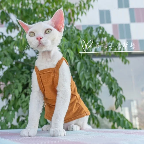 Vêtements pour chat, gilet pour chat, bretelles en coton multicolores, vêtements pour chat sans poils, gilet de protection du ventre avec climatisation Devon