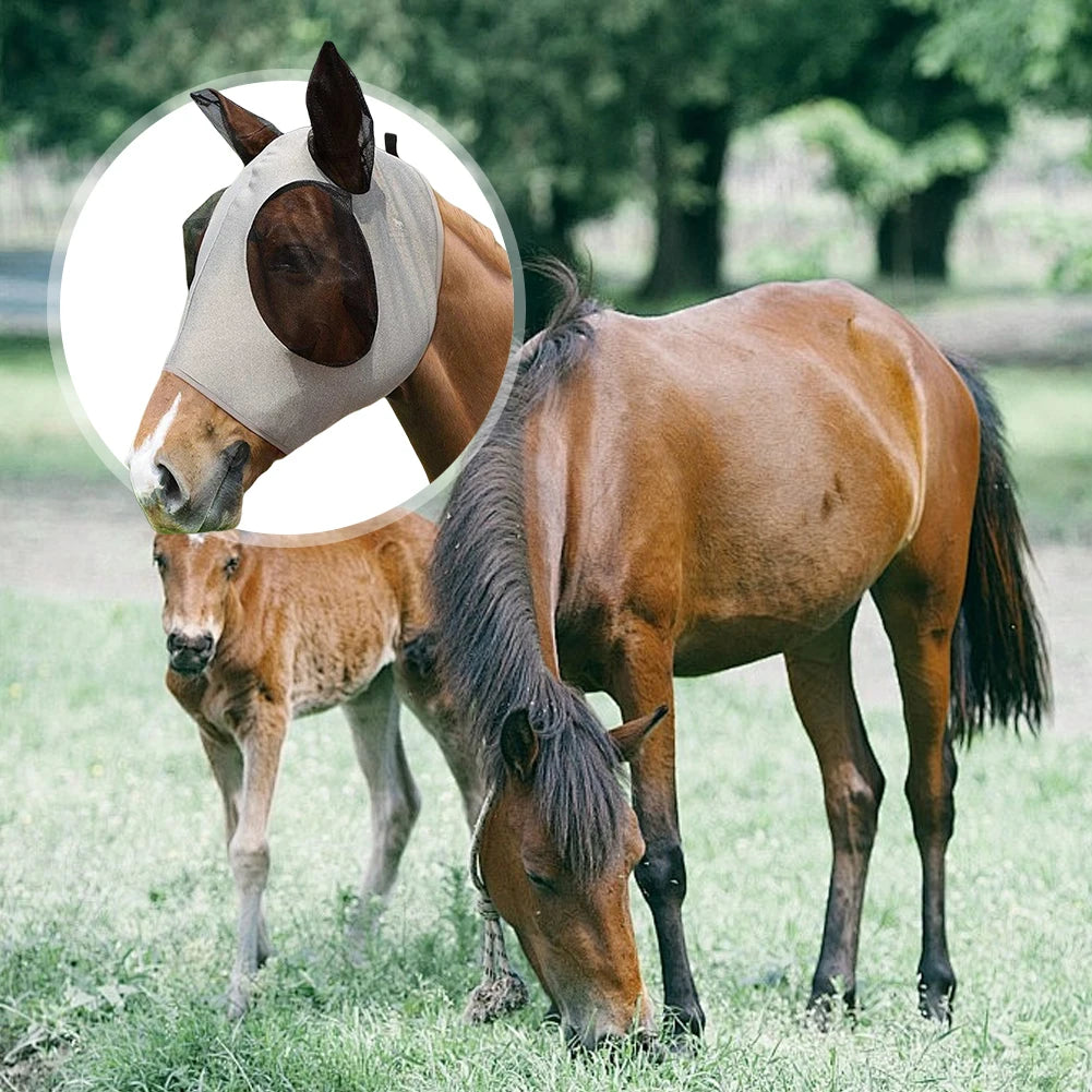 Masque anti-mouches pour chevaux, design 3D, ergonomique, protection oculaire pour animaux de compagnie, anti-moustiques, demi-masque en maille, protection contre les mouches