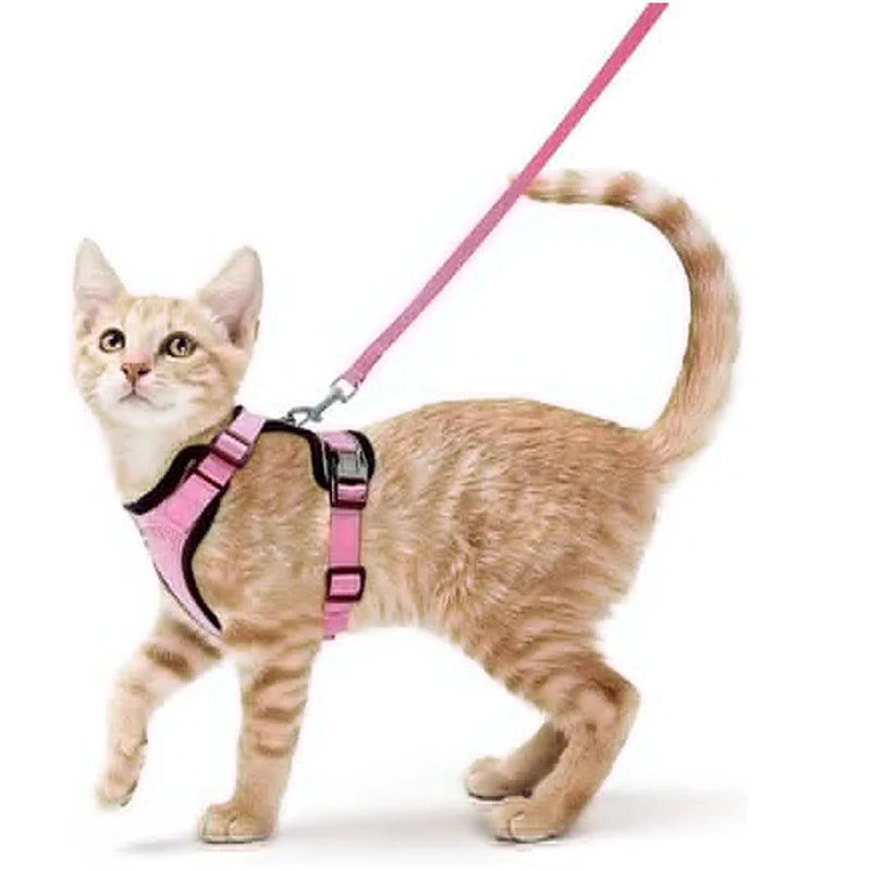 Harnais et laisse pour chat pour la promenade, harnais gilet souple et réglable anti-fuite pour chats, EasyControl