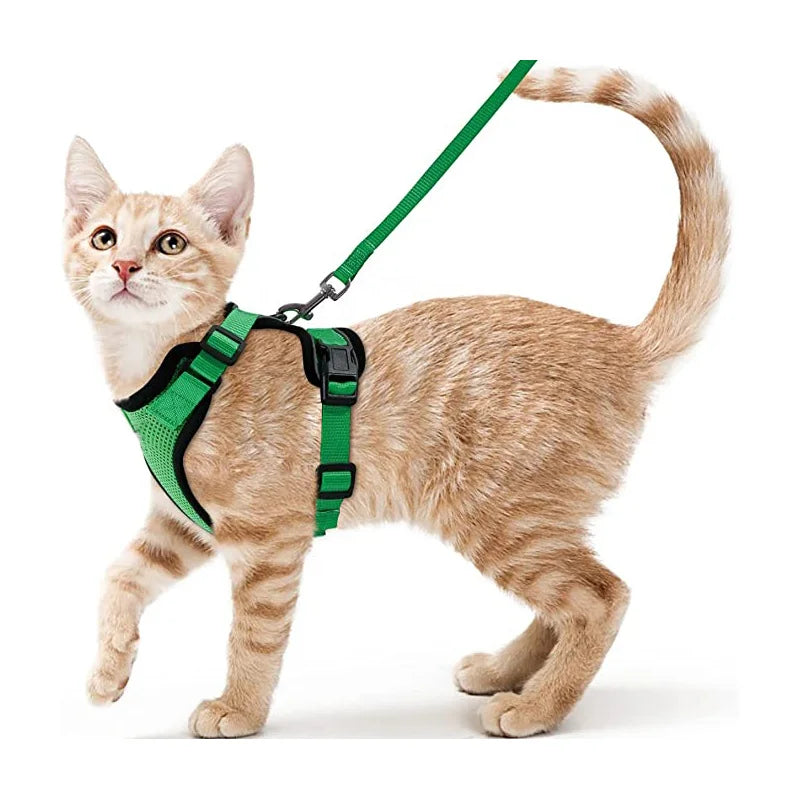 Harnais et laisse pour chat pour la promenade, harnais gilet souple et réglable anti-fuite pour chats, EasyControl