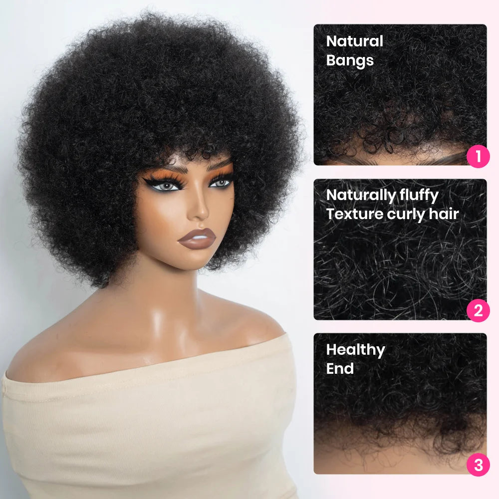 Afro Wig For Women Short Afro Kinky Curly Bob Glueless Wigs Human Hair Natural Looking 12 Inch Afro Wigs With Bangs Short Bouncy